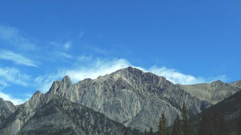 永利集团88304成功案例